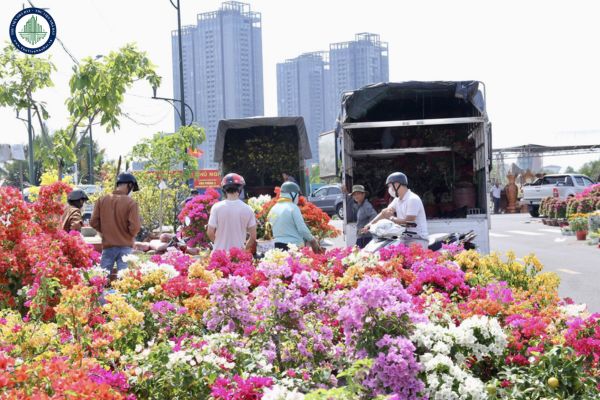 23 Tháng chạp cúng ông Công hay ông Táo? Nhu cầu thuê mặt bằng bán hoa tết tại Thủ Đức sau thời điểm này ra sao?