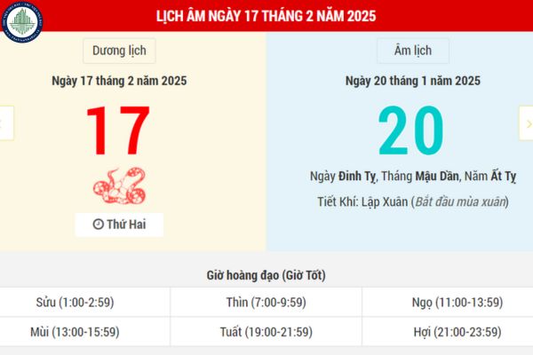 Tử vi 17/2/2025 chi tiết? Ngày 17 tháng 2 là ngày tốt hay xấu có nên đi đầu tư mua đất Nghệ An không?