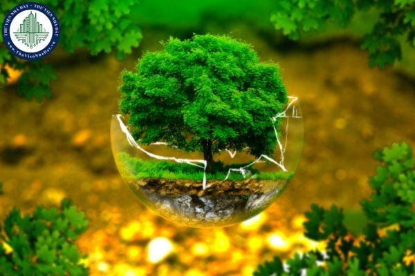 Hồ sơ đề nghị cấp Giấy phép môi trường tại Bộ TN&MT gồm những gì? Thủ tục cấp Giấy phép môi trường hiện nay ra sao?
