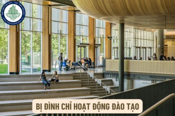 Hồ sơ đề nghị được hoạt động đào tạo trở lại sau khi bị đình chỉ hoạt động đào tạo của trường đại học, phân hiệu của trường đại học gồm những gì?