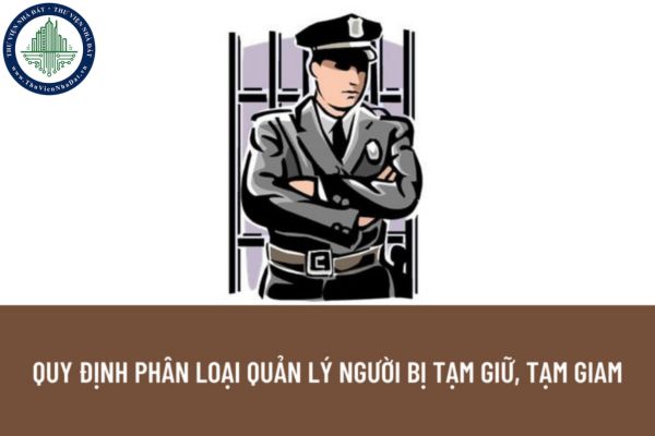 Người bị tạm giữ, tạm giam là ai? Việc phân loại quản lý người bị tạm giữ, người bị tạm giam được quy định như thế nào?