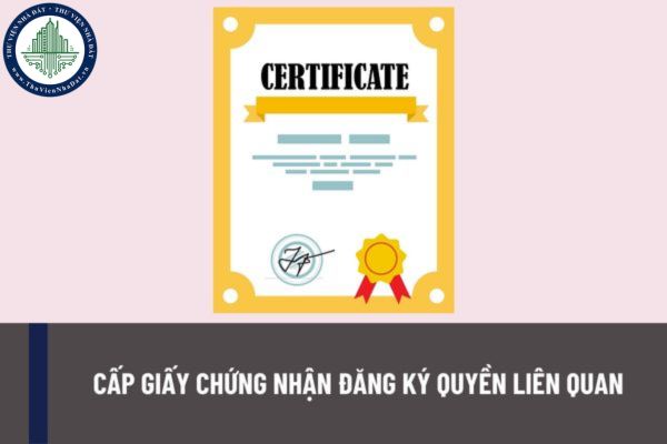Trình tự thủ tục cấp giấy chứng nhận đăng ký quyền liên quan được thực hiện như thế nào theo quy định hiện nay?