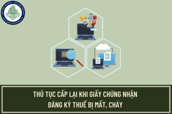 Trình tự, thủ tục cấp lại khi Giấy chứng nhận đăng ký thuế dành cho cá nhân bị mất, cháy được quy định như thế nào?
