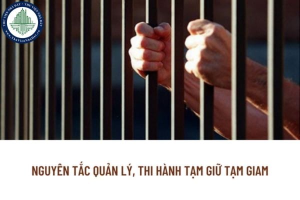 thuviennhadat.vn