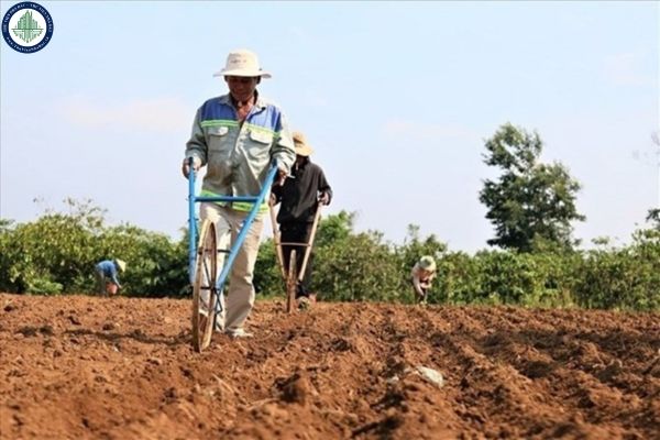 Hướng dẫn ghi mẫu đơn đề nghị chuyển mục đích sử dụng đất Long An 2025