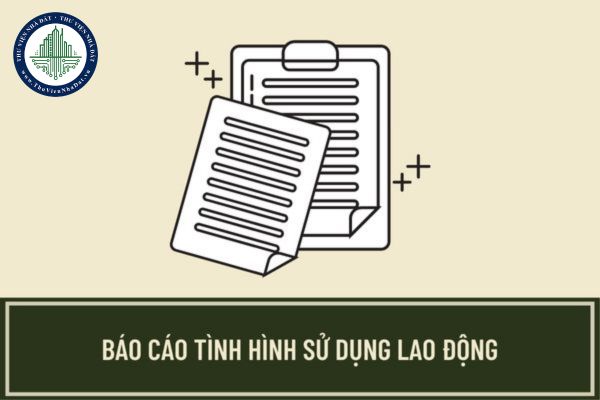 Hướng dẫn cách viết mẫu 01/PLI báo cáo tình hình sử dụng lao động 6 tháng cuối năm 2024? Tiền phụ cấp độc hại của người lao động có chịu thuế TNCN không?