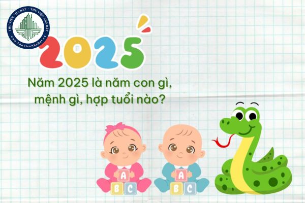 Sinh con năm Ất Tỵ 2025 hợp với bố mẹ tuổi gì?