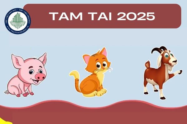 Con giáp nào gặp hạn tam tai trong năm Ất Tỵ 2025?