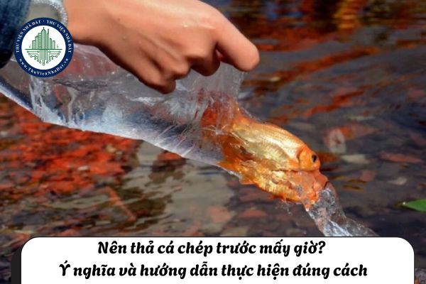 Nên thả cá chép trước mấy giờ? Ý nghĩa và hướng dẫn thực hiện đúng cách