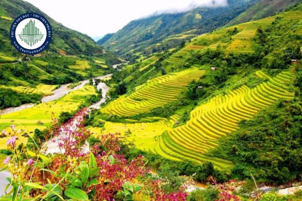 Đi Hà Giang chơi gì? Thị trường homestay ở Hà Giang như thế nào?