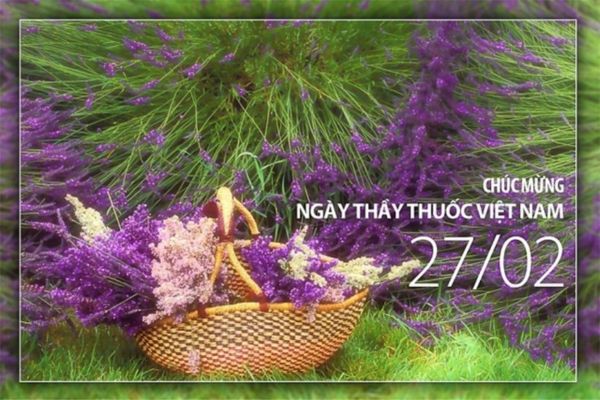 Tải hình ảnh thiệp chúc mừng ngày thầy thuốc Việt Nam