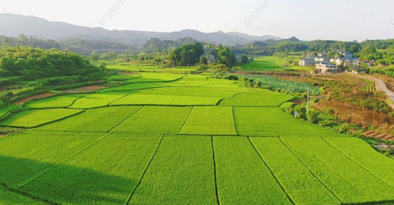 Điều kiện giao đất, cho thuê đất, cho phép chuyển mục đích sử dụng đất từ 01/8/2024
