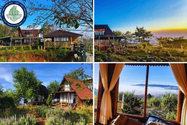 Gợi ý các homestay view đẹp ở Đà Lạt gần trung tâm