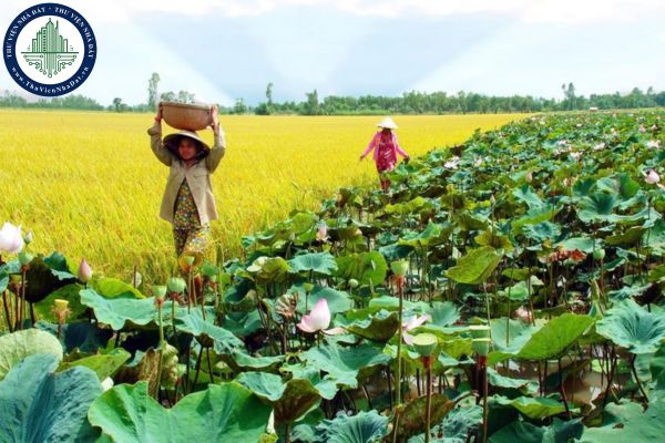 Tổng hợp bảng giá vật liệu xây dựng tỉnh Đồng Tháp