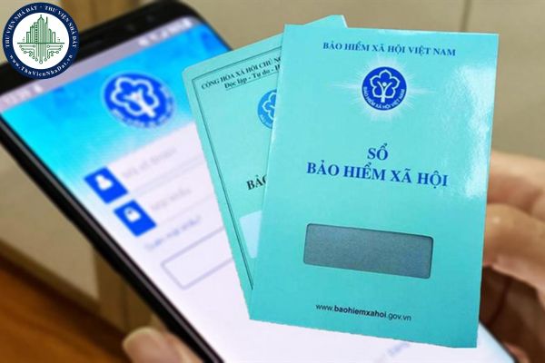 Tải file Nghị định 176/2025/NĐ-CP hướng dẫn Luật Bảo hiểm xã hội 2024 về trợ cấp hưu trí xã hội