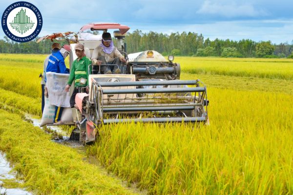 Thuế đất nông nghiệp được miễn thêm 5 năm, kéo dài đến hết năm 2030