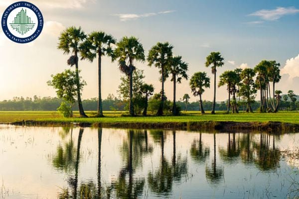 Mức lương tối thiểu vùng của An Giang tại 102 xã phường từ 01/7/2025