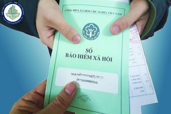 thuviennhadat.vn