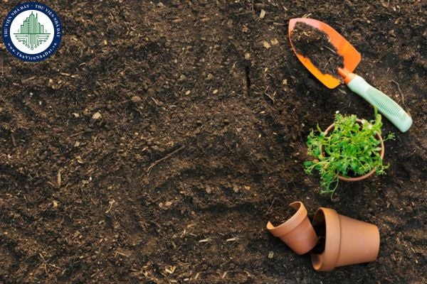 Mẫu đơn xin hợp thửa đất mới nhất 2025 là mẫu nào? Tải file word mẫu đơn xin hợp thửa đất mới nhất 2025