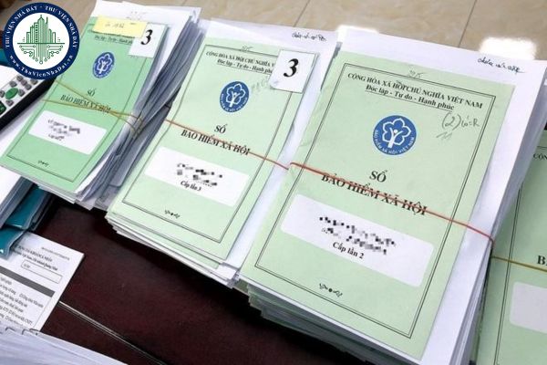thuviennhadat.vn