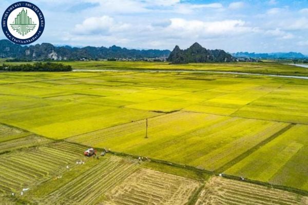 Cập nhật địa chỉ Chi nhánh Văn phòng đăng ký đất đai quận 8 (cũ) TPHCM sau sáp nhập