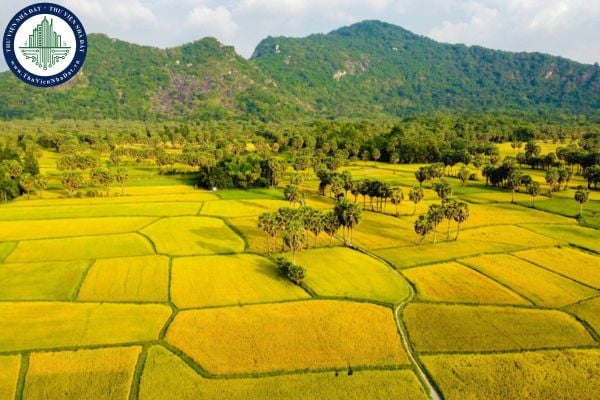 Cập nhật địa chỉ Chi nhánh Văn phòng đăng ký đất đai Thuận An (cũ) sau sáp nhập
