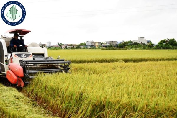 Cập nhật địa chỉ Chi nhánh Văn phòng đăng ký đất đai huyện Xuyên Mộc (cũ) sau sáp nhập