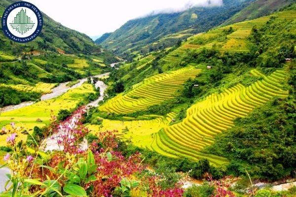 thuviennhadat.vn