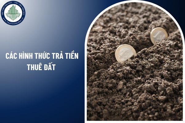 Các hình thức trả tiền thuê đất theo quy định mới nhất 2025 như thế nào?
