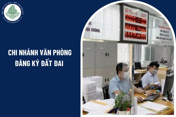 Sau sáp nhập tỉnh 2025, Văn phòng đăng ký đất đai Quận 1 TP Hồ Chí Minh có địa chỉ mới là gì?
