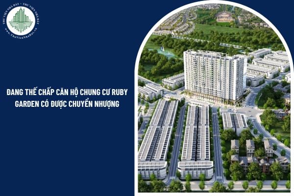 Đang thế chấp căn hộ chung cư Ruby Garden có được chuyển nhượng không theo quy định mới nhất 2025?