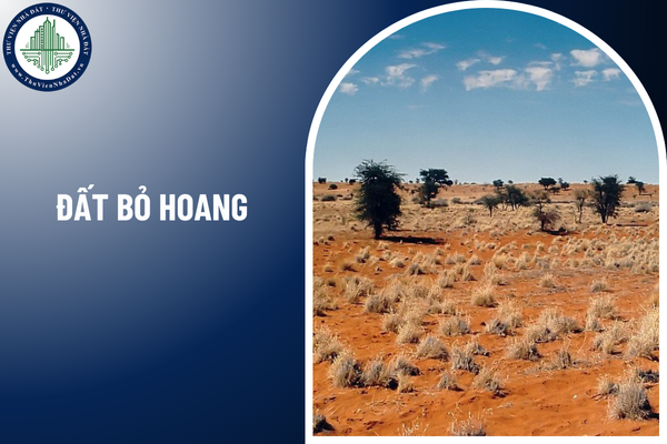 Đất bỏ hoang bao nhiêu năm thì bị thu hồi quyền sử dụng đất theo luật 2025?
