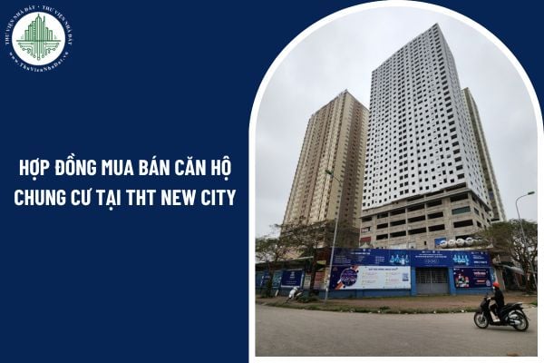 Hợp đồng mua bán căn hộ chung cư tại THT New City cần những điều khoản gì?