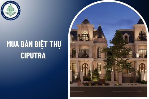 Mua bán biệt thự Ciputra cần kiểm tra điều kiện gì khi đưa vào kinh doanh?