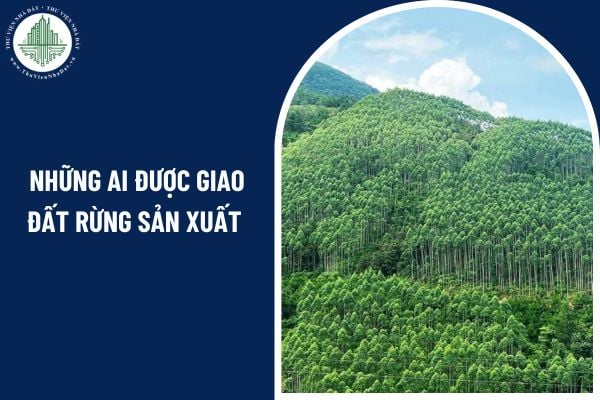 Những ai được giao đất rừng sản xuất không thu tiền theo quy định hiện nay?