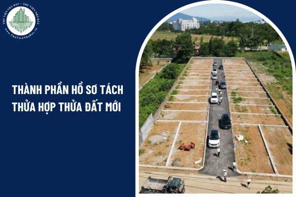 Sửa đổi Nghị định 101: Thành phần hồ sơ tách thửa hợp thửa đất mới nhất 2025 ra sao?