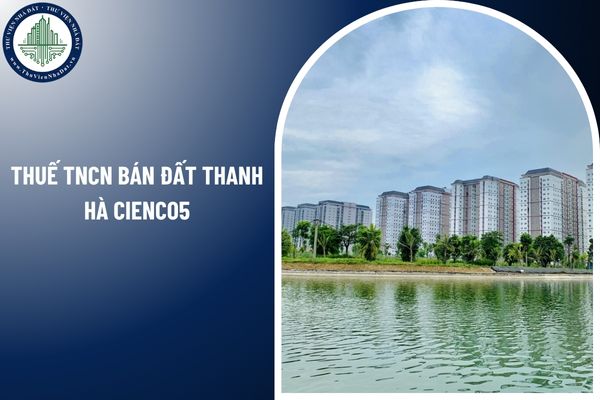 Thuế TNCN bán đất Thanh Hà Cienco5 năm 2025 tính như thế nào?