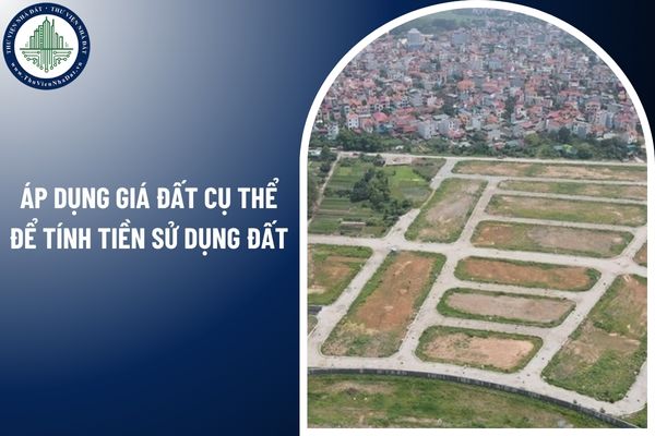 Những trường hợp tổ chức phải áp dụng giá đất cụ thể để tính tiền sử dụng đất? 