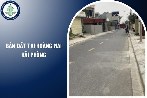 Sau khi bán đất tại Hoàng Mai Hải Phòng người mua có được cấp sổ đỏ mới?