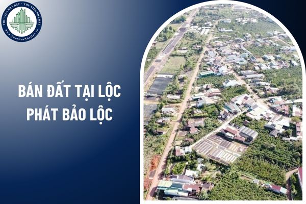 Mất giấy chứng nhận (sổ đỏ) thì bán đất tại Lộc Phát Bảo Lộc được không?