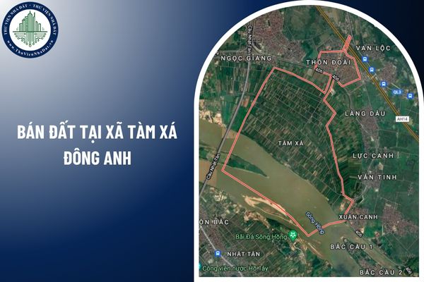 Từ 01/7/2025, cấp sổ đỏ lần đầu với đất tại xã Tàm Xá Đông Anh có nhanh trong 3 ngày làm việc?