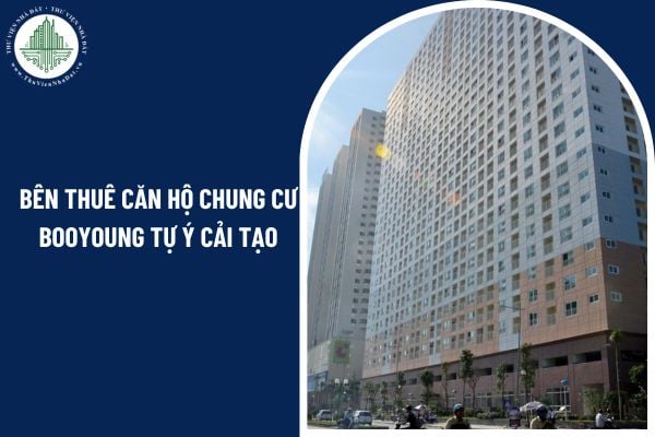 Bên thuê căn hộ chung cư Booyoung tự ý cải tạo có bị đơn phương chấm dứt hợp đồng không?