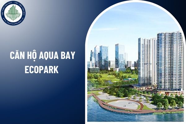 Tổ chức nước ngoài có được mua căn hộ Aqua Bay Ecopark không?
