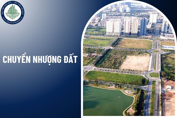 Loại đất nào tổ chức kinh tế không được phép nhận chuyển nhượng?
