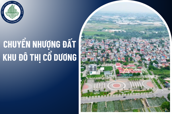 Điều kiện để người sử dụng đất được chuyển nhượng đất khu đô thị Cổ Dương năm 2025?