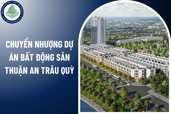 Thẩm quyền cho phép chuyển nhượng dự án bất động sản Thuận An Trâu Quỳ được quy định như thế nào?