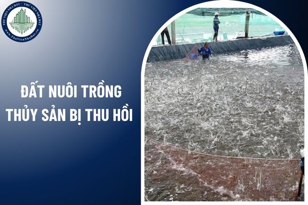 Khi nào đất nuôi trồng thủy sản bị thu hồi do vi phạm pháp luật đất đai?