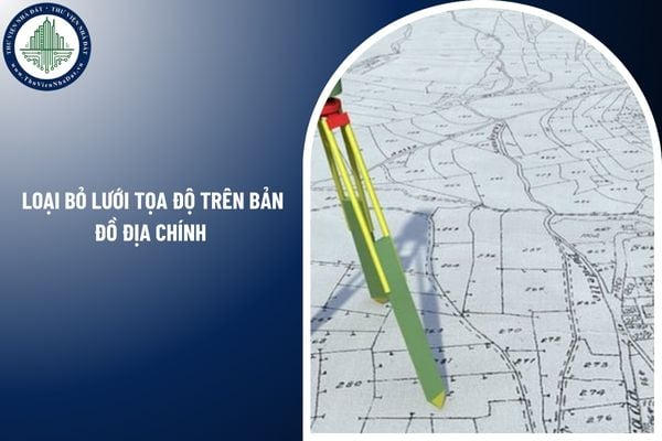 Quy định về việc loại bỏ lưới tọa độ trên bản đồ địa chính năm 2025 như thế nào?