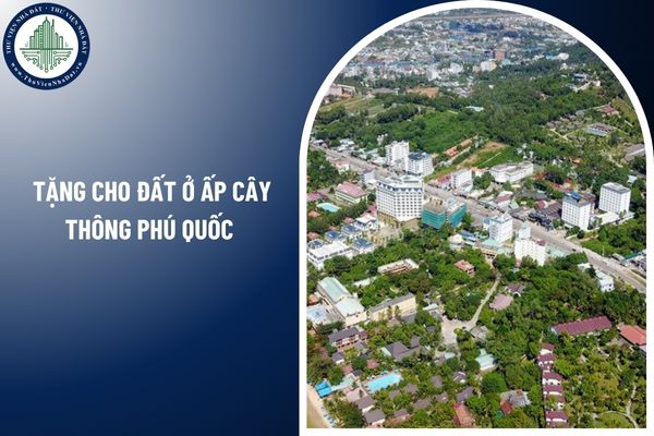 Có được tặng cho đất ở ấp Cây Thông Phú Quốc không qua công chứng không?