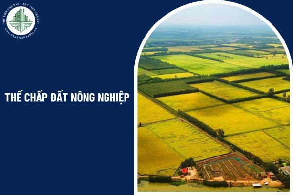 Có được thế chấp đất nông nghiệp đã hết thời hạn sử dụng đất theo quy định không?  